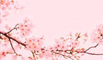 玫瑰金-开平市科固卫浴有限公司-樱花