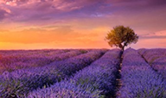 产品关联参数-开平市科固卫浴有限公司-5